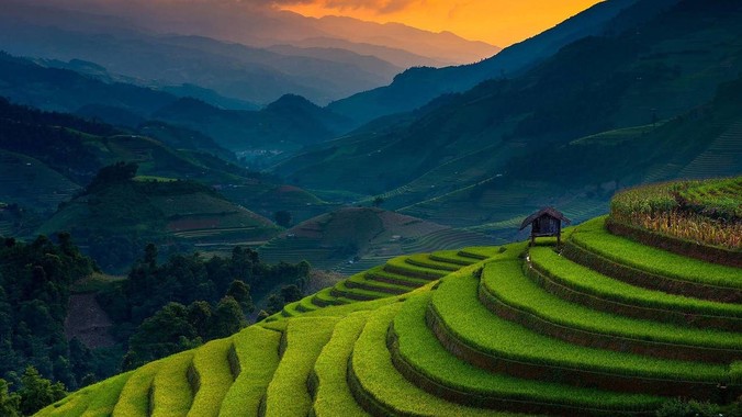 app下载